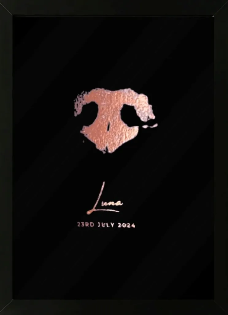 WhatsApp Image 2025-11-20 at 15.55.45_5fba792a.webp