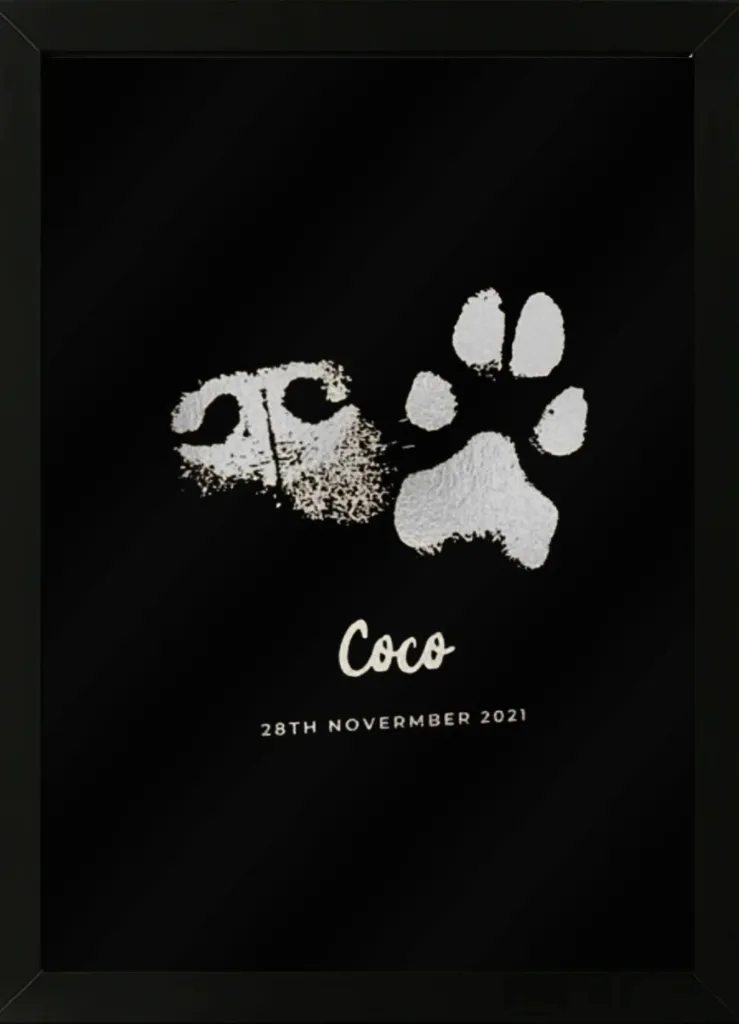 WhatsApp Image 2025-12-20 at 4.58.32 PM.webp